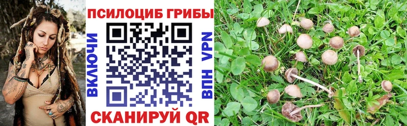 blacksprut рабочий сайт  Красноуральск  Псилоцибиновые грибы прущие грибы 